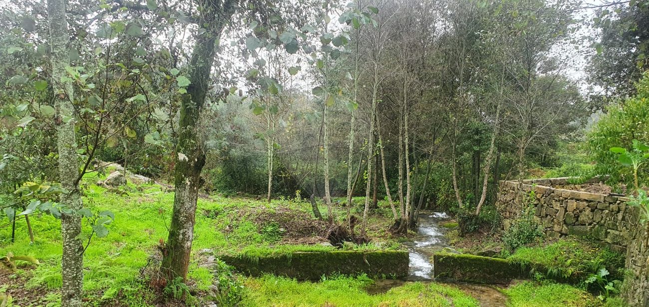 Terreno para venda