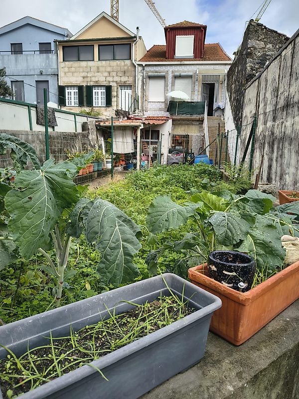 Moradia T5 à venda em Bonfim, Porto — foto 8