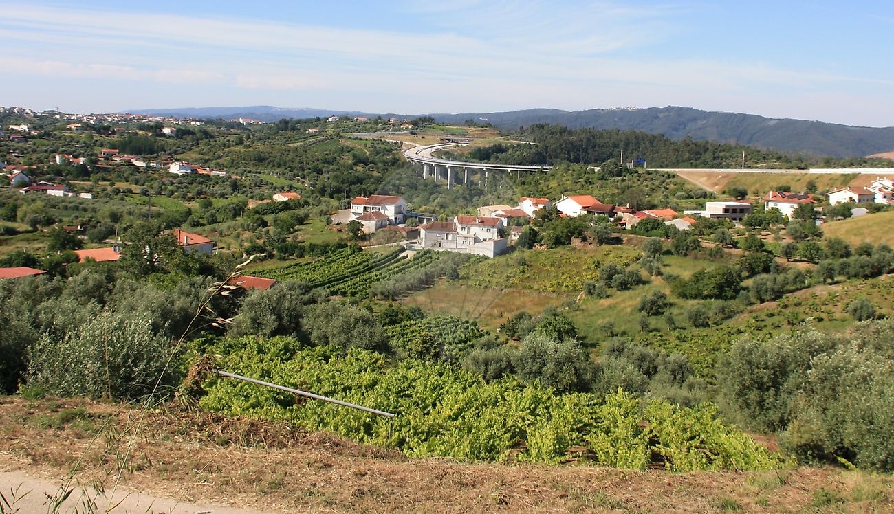 Terreno  à venda em Coimbra
