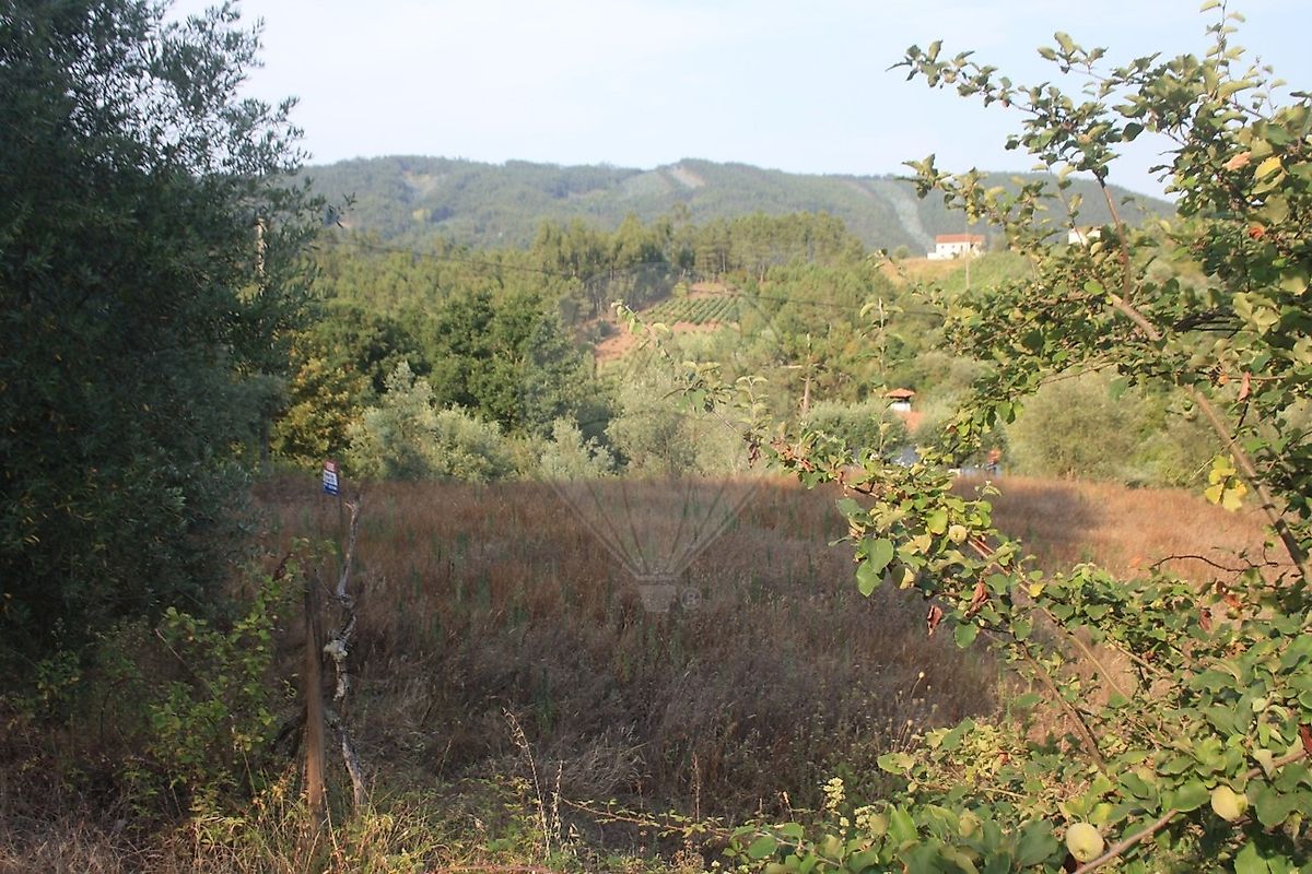 Terreno  à venda em Coimbra
