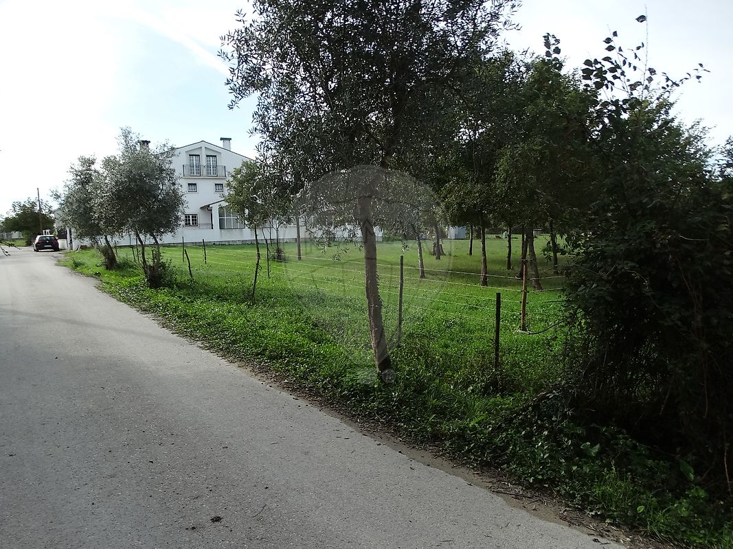 Land for sale in Cantanhede, Portugal — €395,000