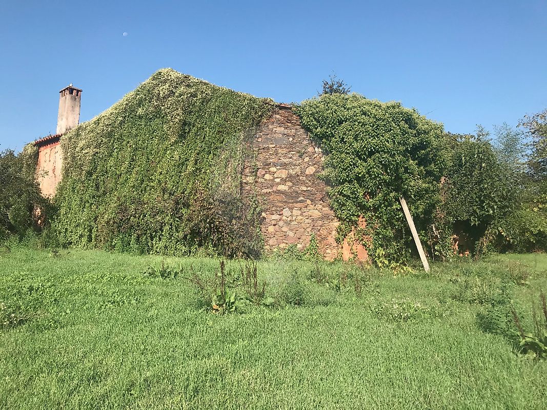 listing-picture-0
