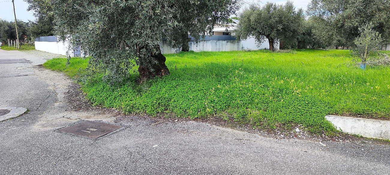 Terreno  à venda em Coimbra