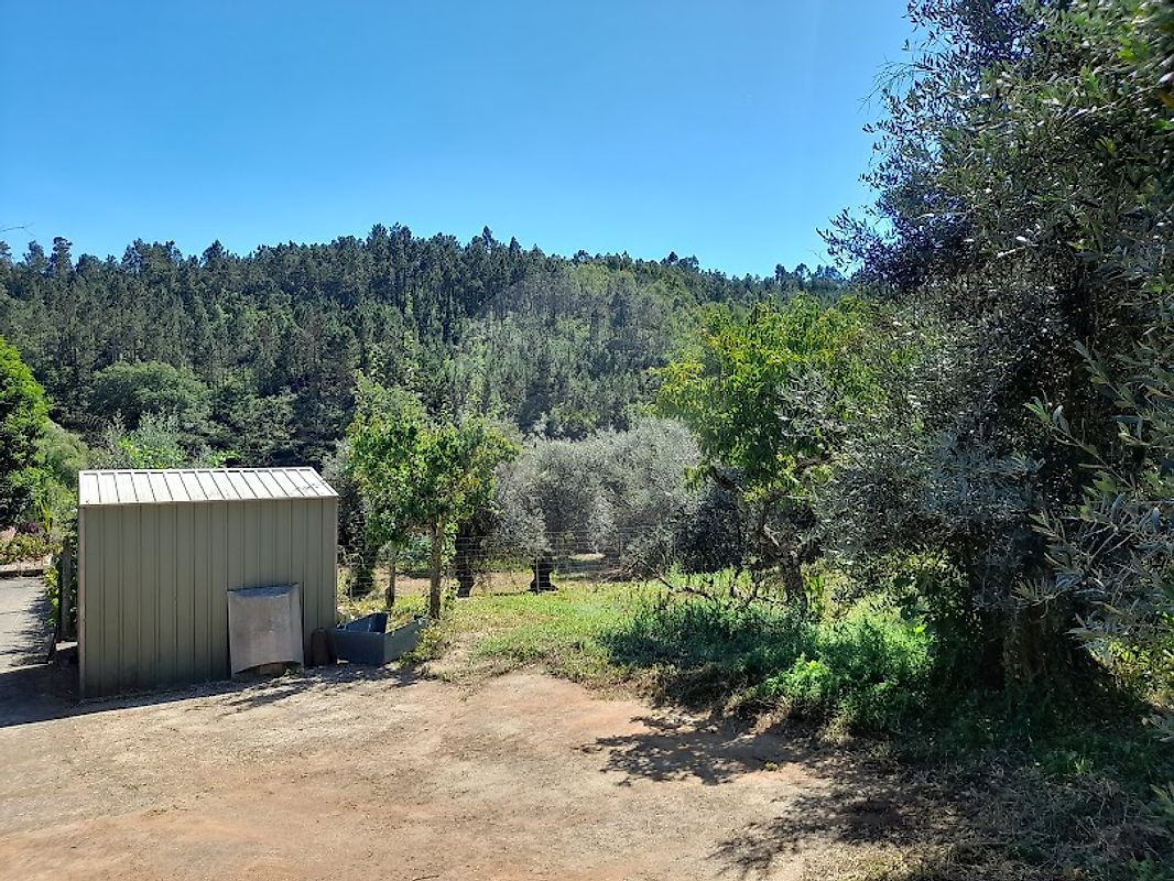 listing-picture-0