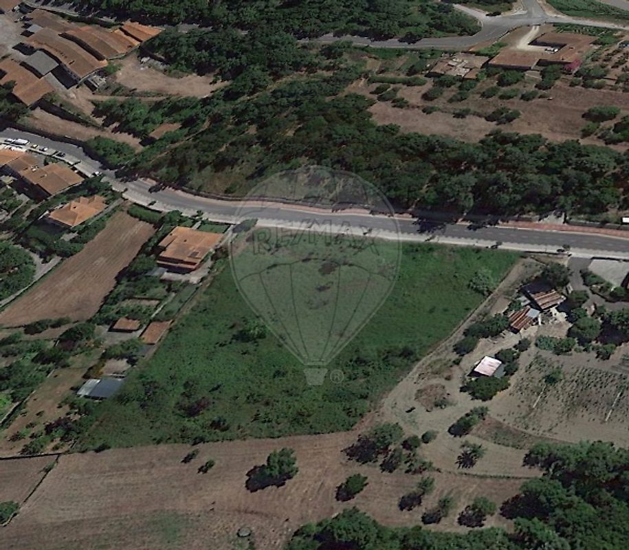 Land for sale in Anadia, Portugal — €230,000