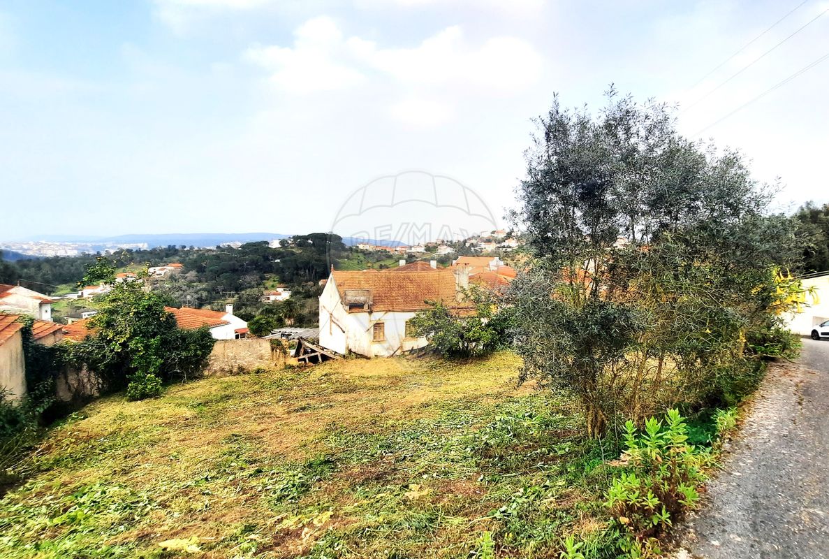 listing-picture-0