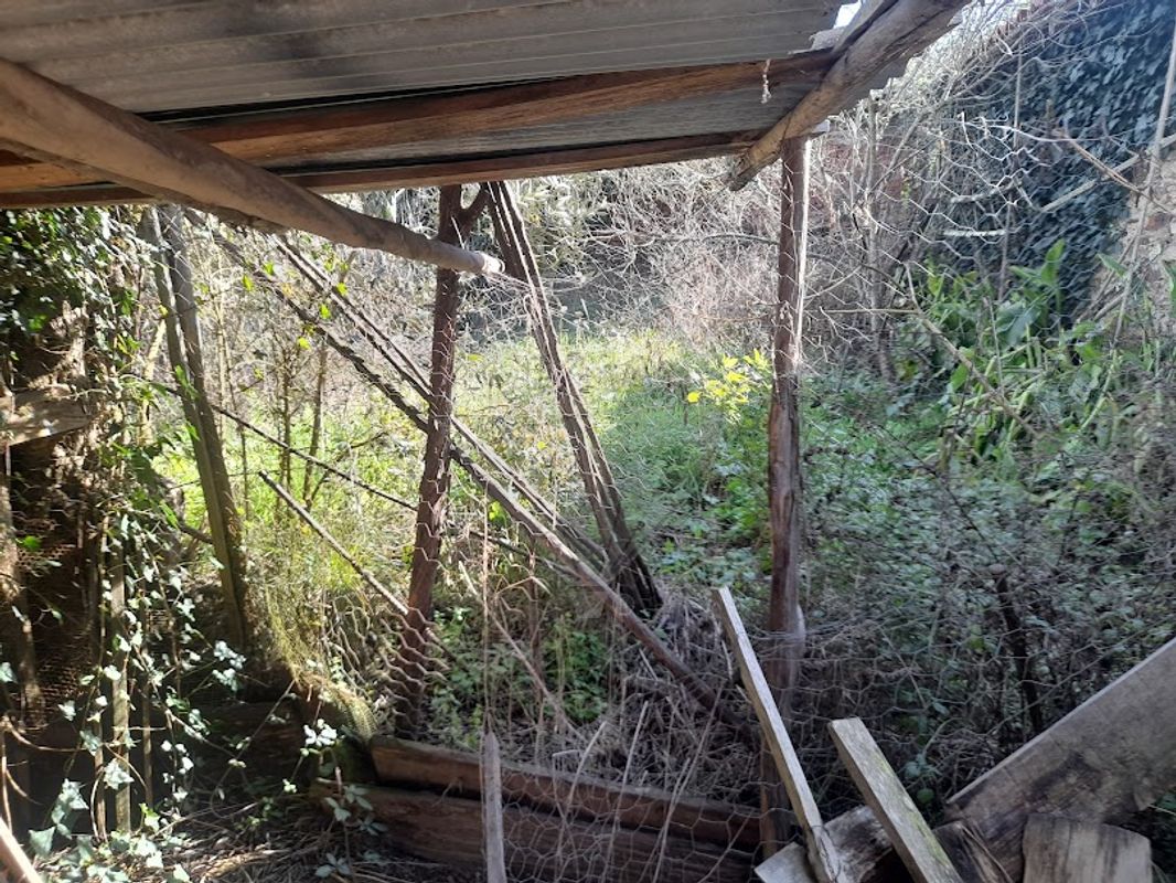listing-picture-0