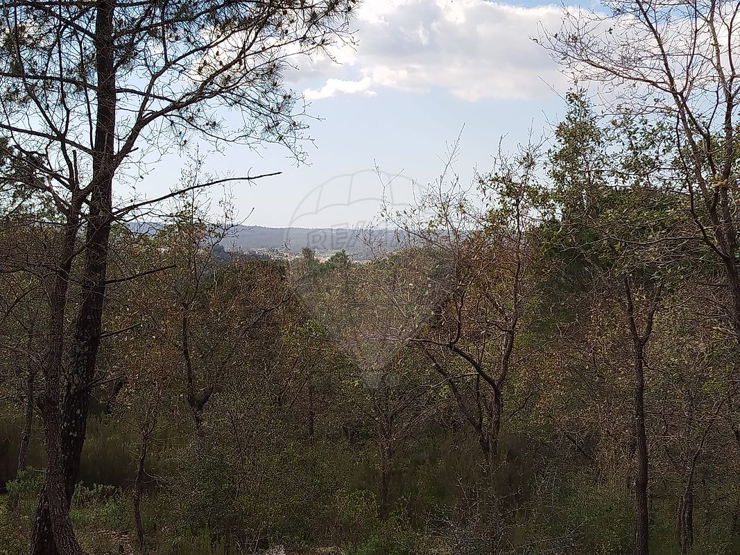 Terreno para arrendar em Condeixa-a-Nova