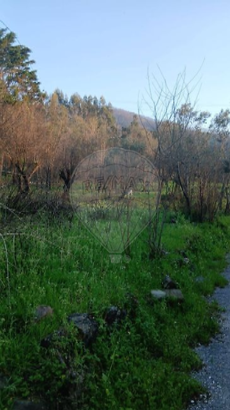Terreno - Serpins, Lousã, Coimbra