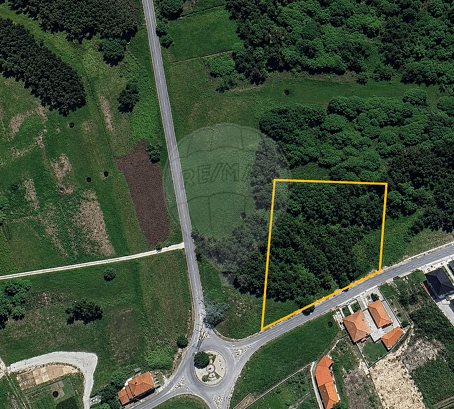 Terreno - Fonte de Angeão e Covão do Lobo, Vagos, Aveiro
