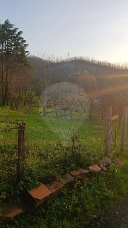 Terreno - Serpins, Lousã, Coimbra