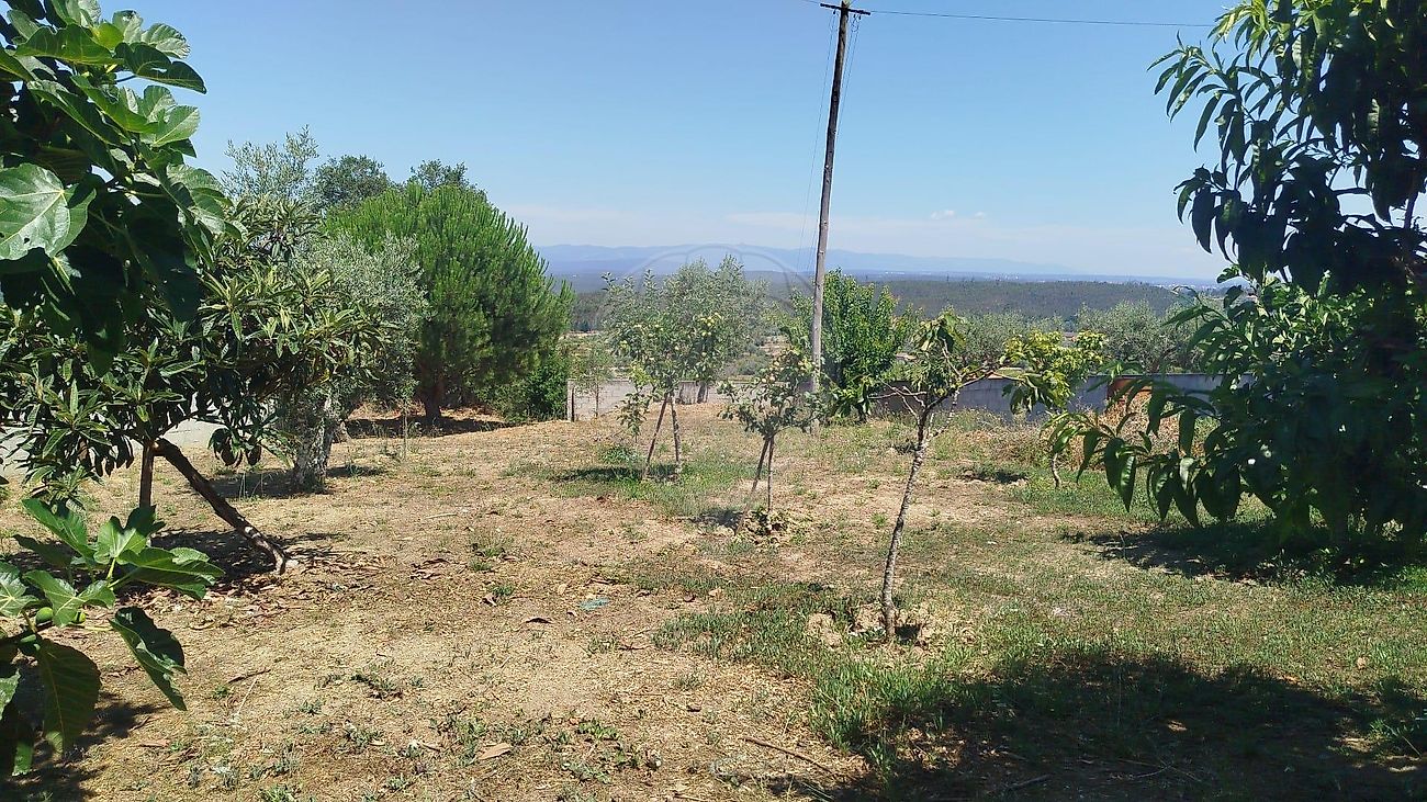 Moradia T2 à venda em São Pedro de Alva e São Paio de Mondego, Penacova — foto 11