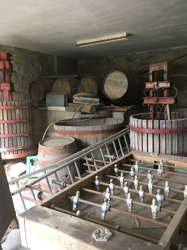 listing 123631246-15 picture-0