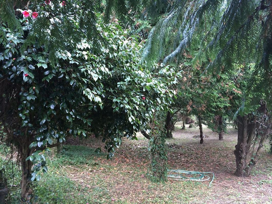 listing 123631246-15 picture-0