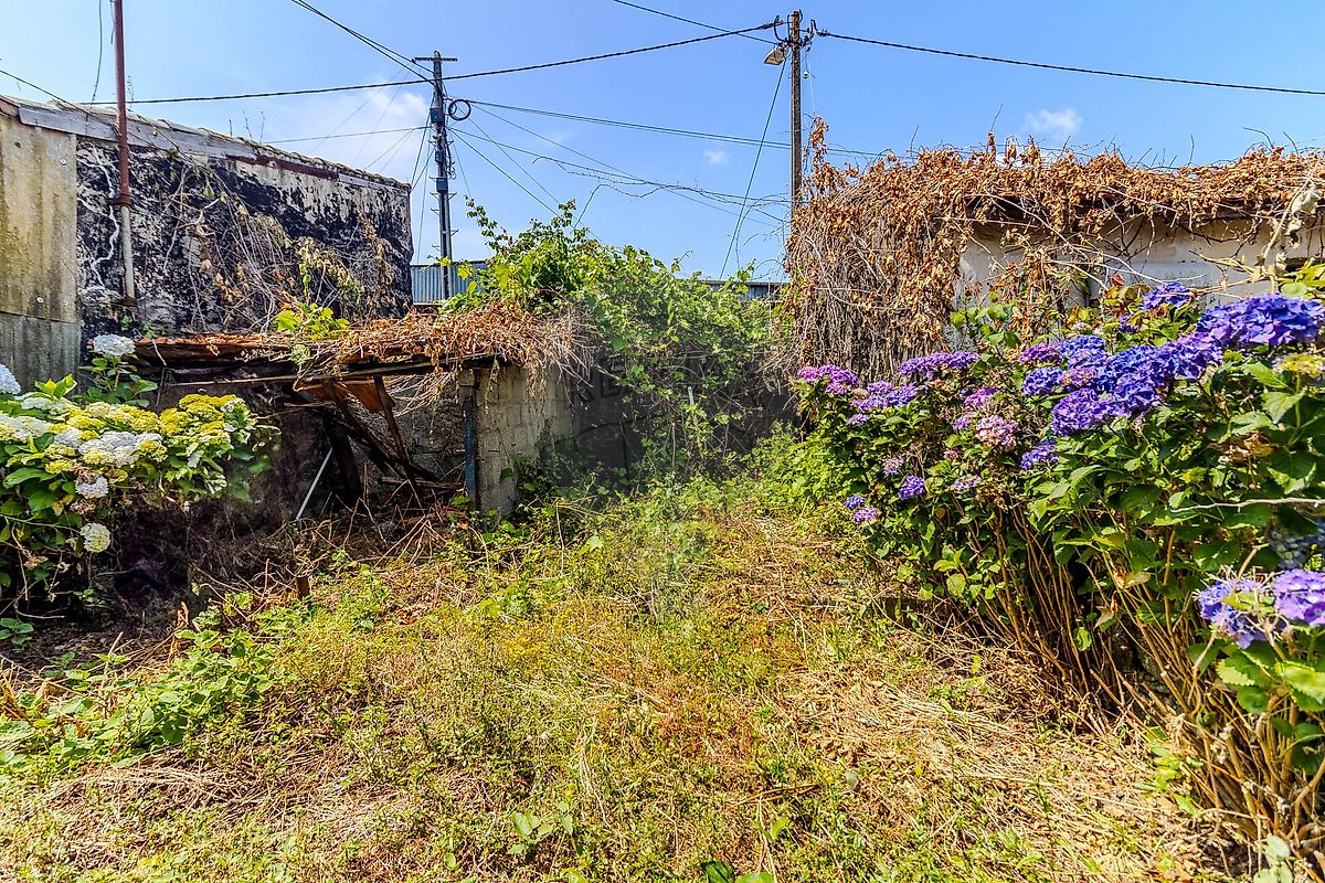 listing 123631430-11 picture-0