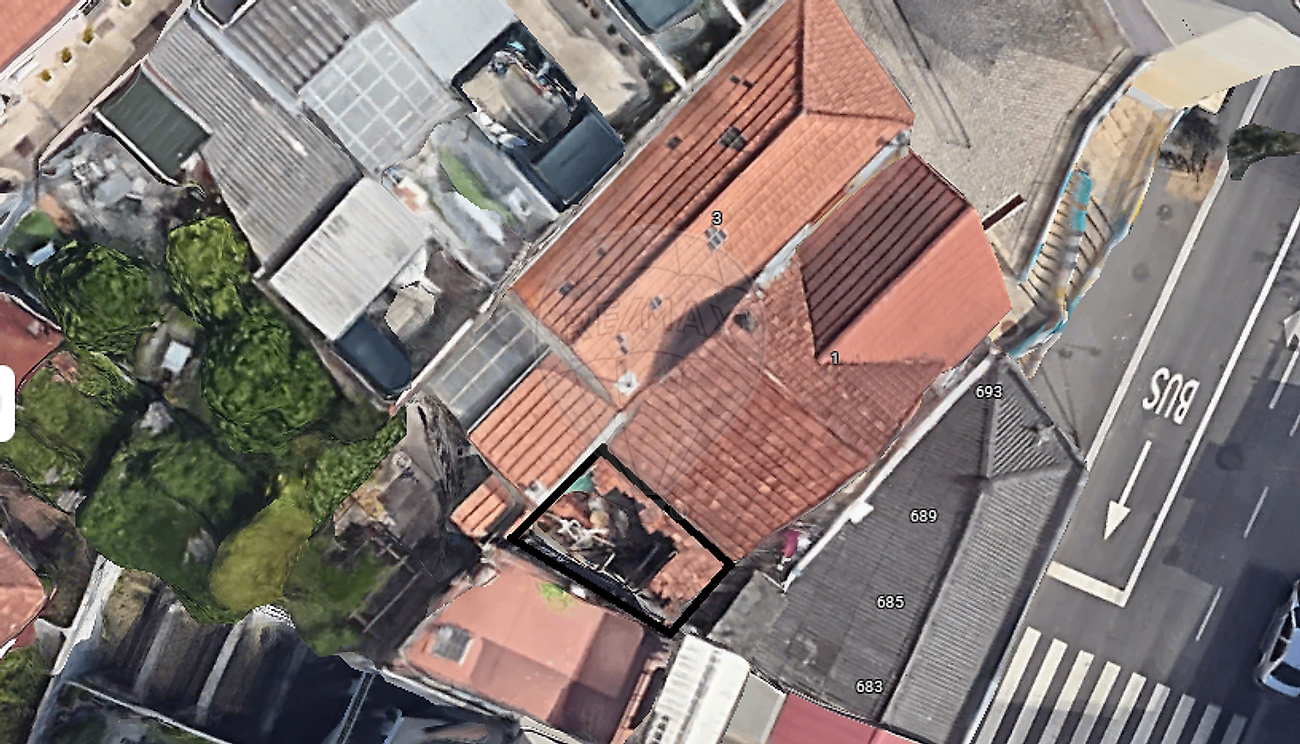 123631380-119