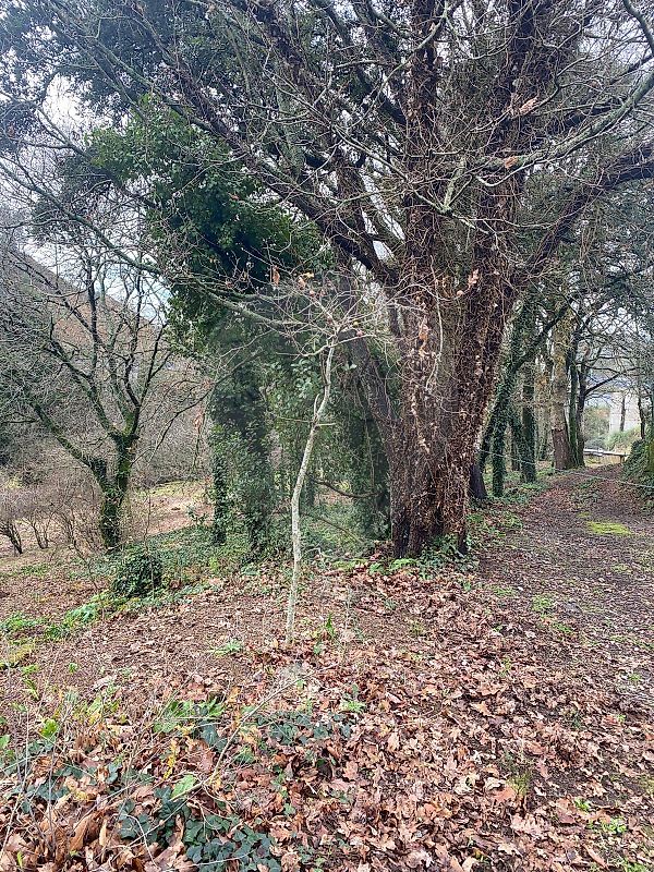 Terreno à venda em Vila Nova de Gaia