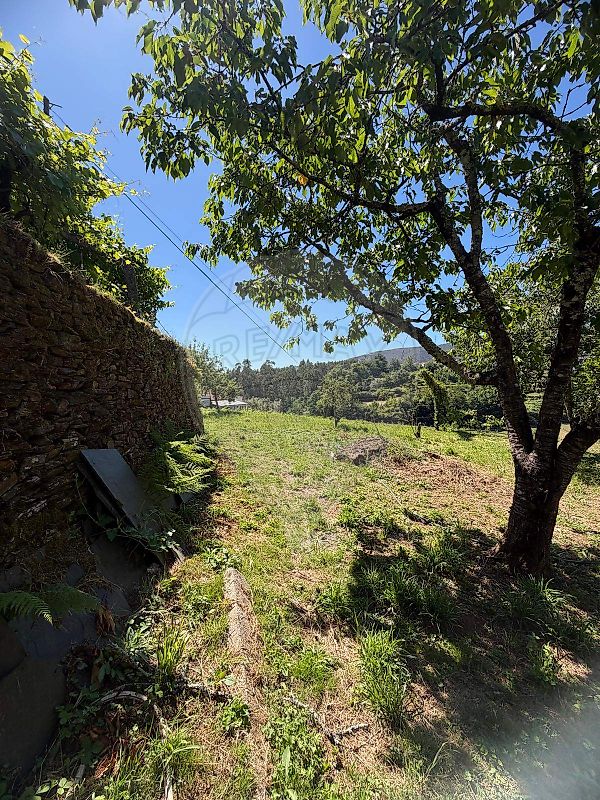 Moradia T3 à venda em Nespereira, Cinfães — foto 20