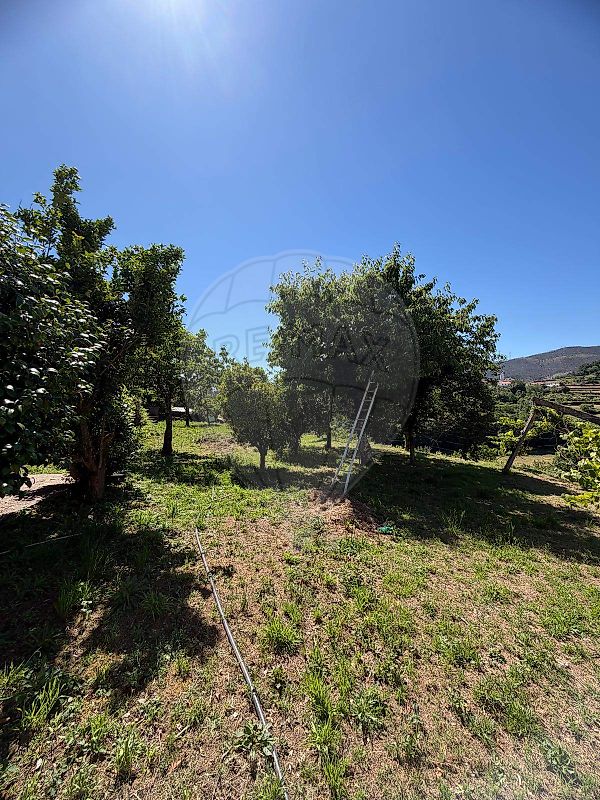 Moradia T3 à venda em Nespereira, Cinfães — foto 19