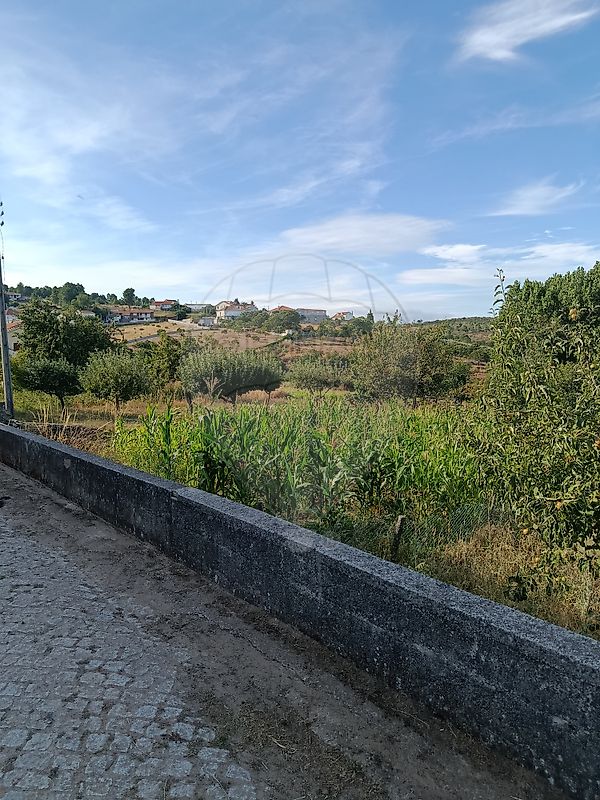 Moradia T4 à venda em Carrazedo de Montenegro e Curros, Valpaços — foto 19