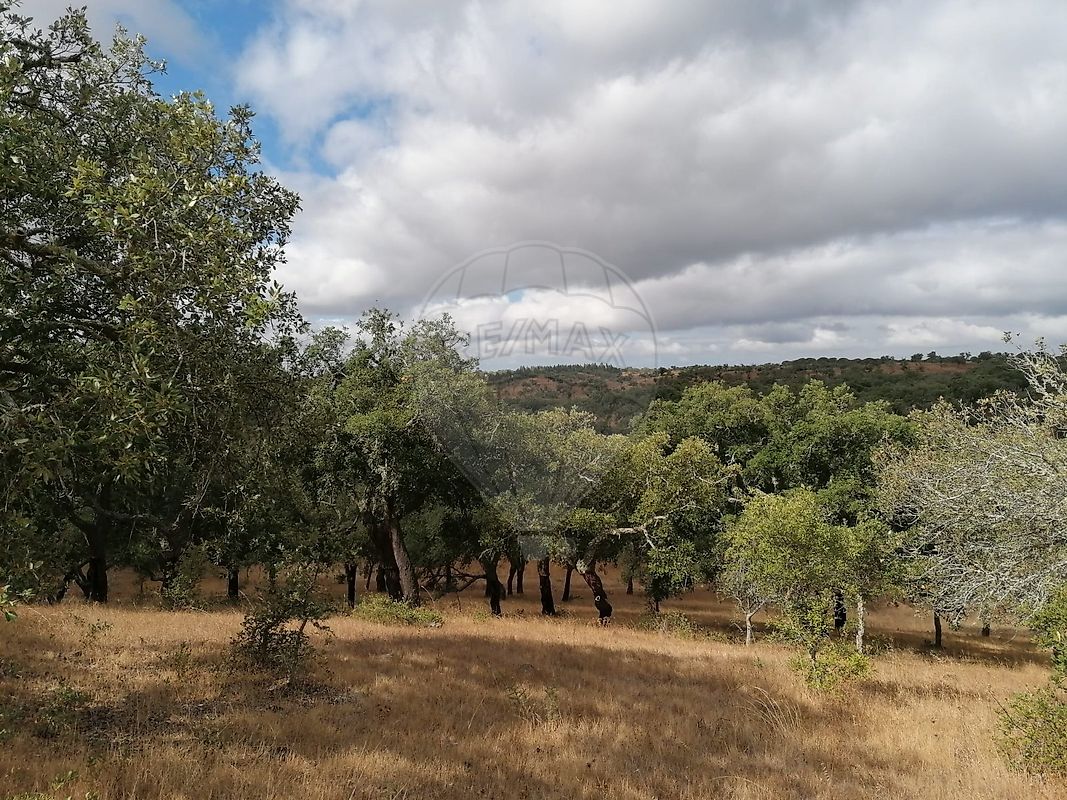 Quinta  à venda em Grândola