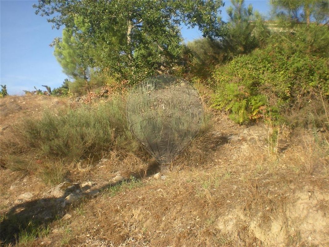 Terreno à venda em Chaves