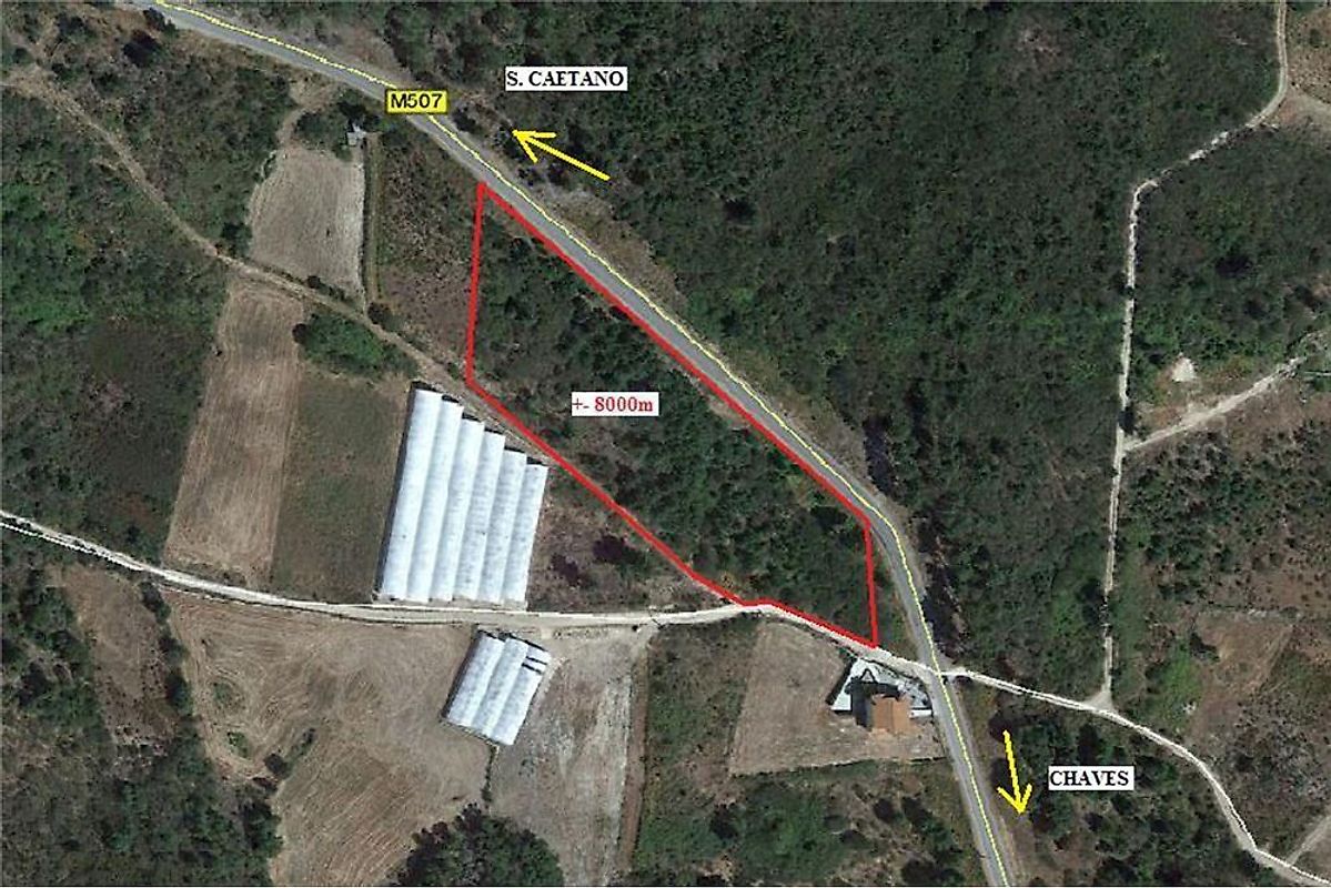 listing 123691014-11 picture-0