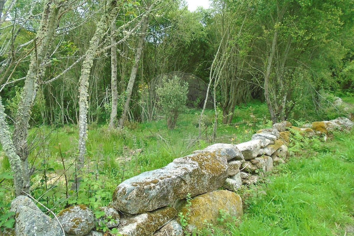 Terreno para venda