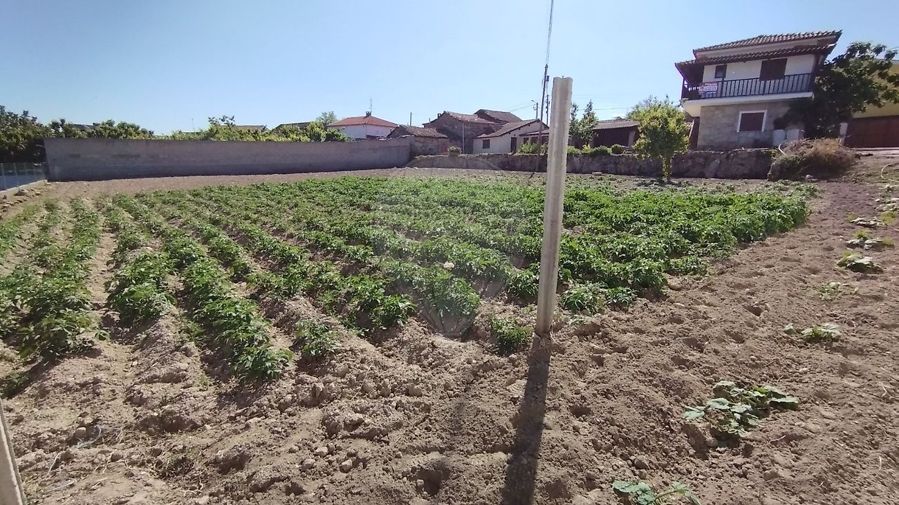 Moradia T3 à venda em Vale de Anta, Chaves — foto 16