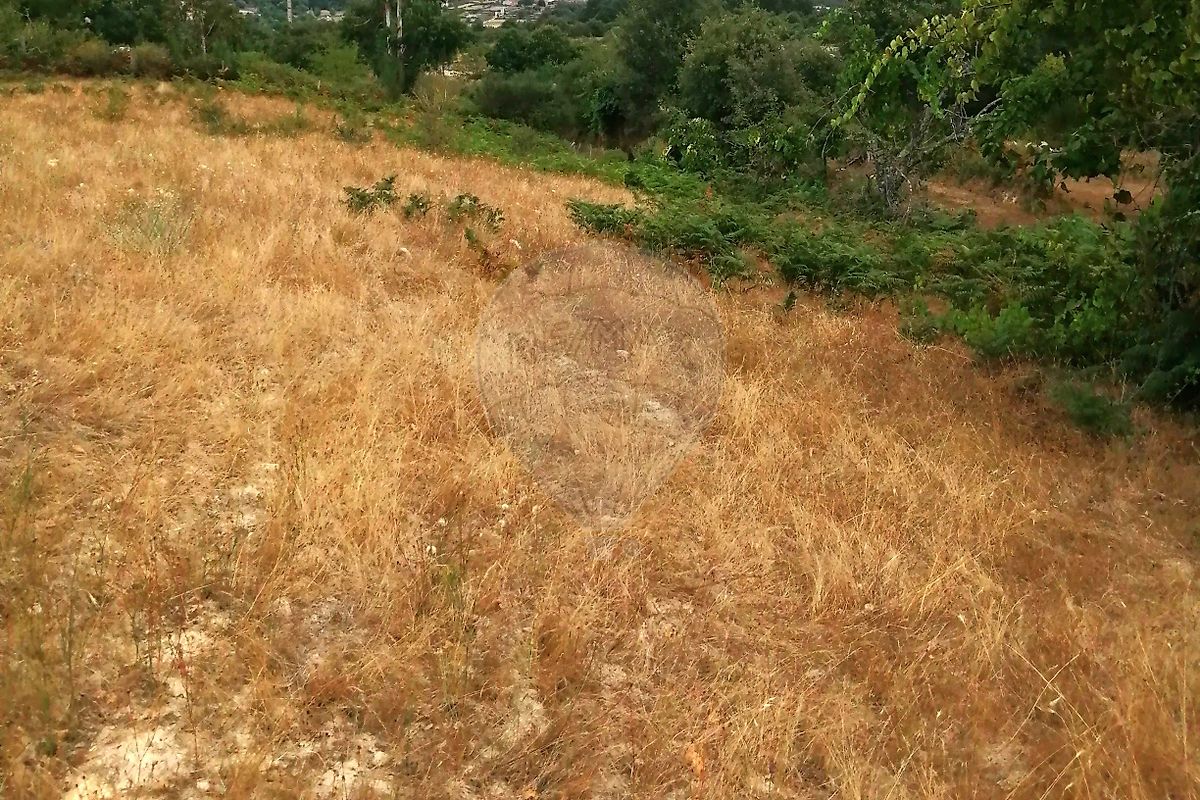 TODO