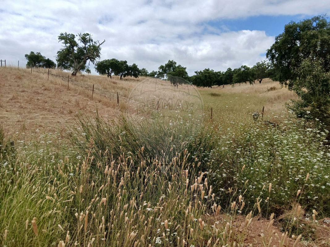 Terreno para venda