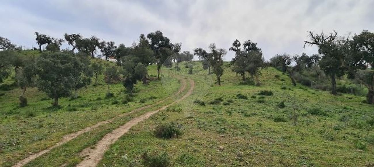 Terreno  para venda