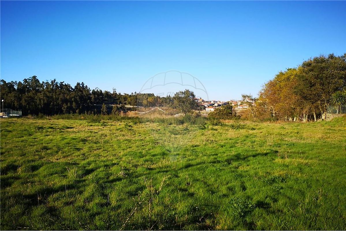 Land for sale in Santo Tirso, Portugal — €80,500