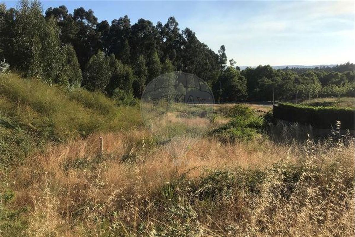 Terreno  para venda