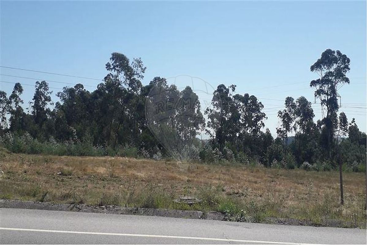 Terreno - Ferreira, Paços de Ferreira, Porto