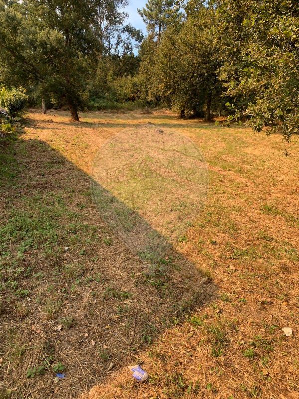 Terreno para venda