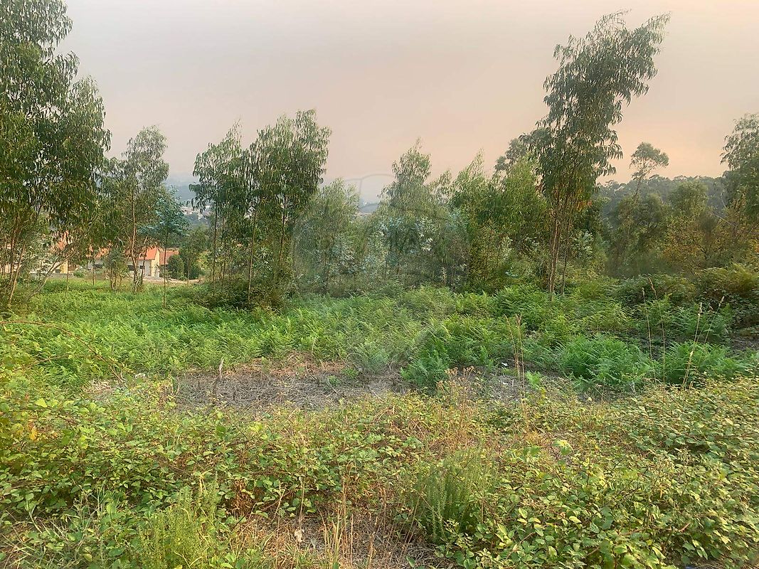 Terreno - Penamaior, Paços de Ferreira, Porto