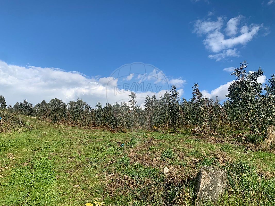 Terreno - Lustosa e Barrosas (Santo Estêvão), Lousada, Porto