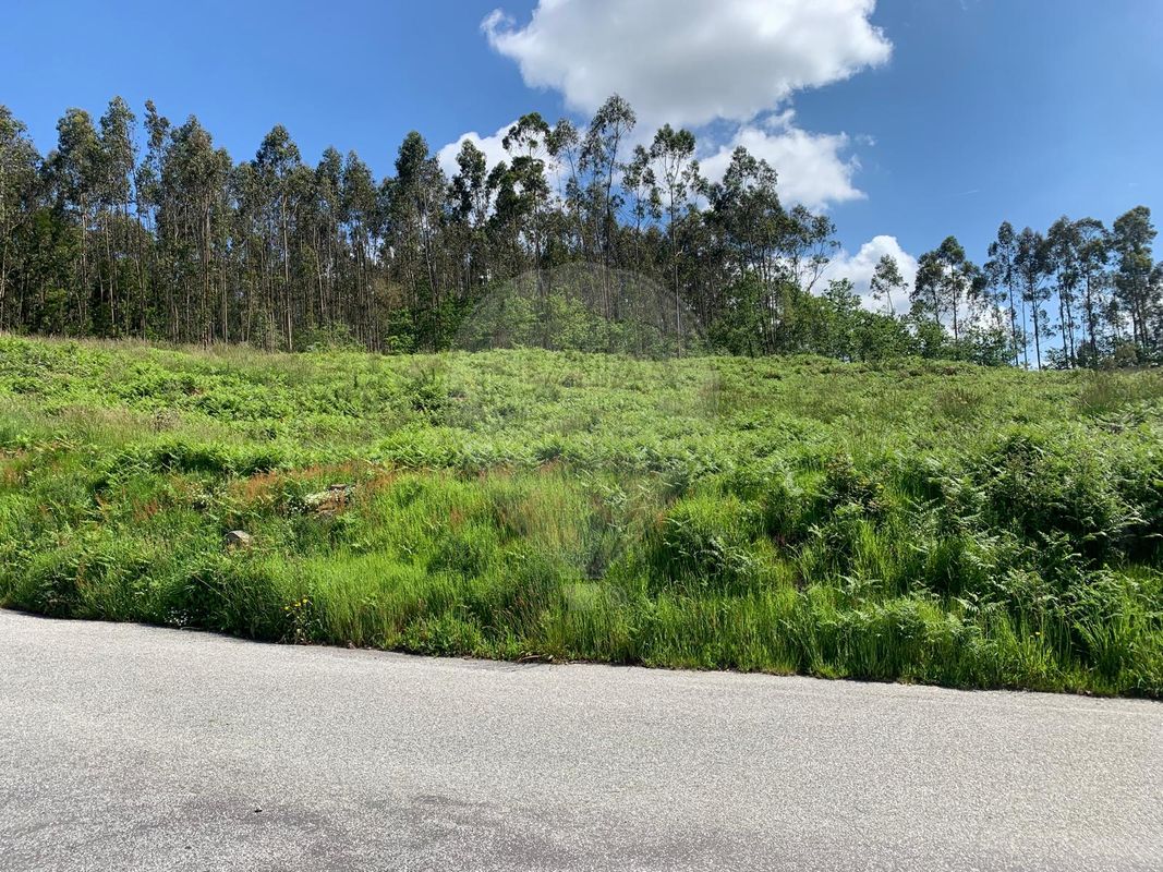 Terreno para venda