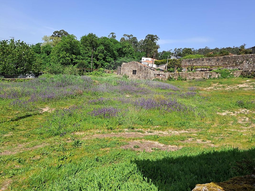 Terreno - Raimonda, Paços de Ferreira, Porto
