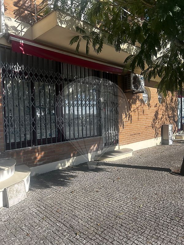 Loja - Raimonda, Paços de Ferreira, Porto