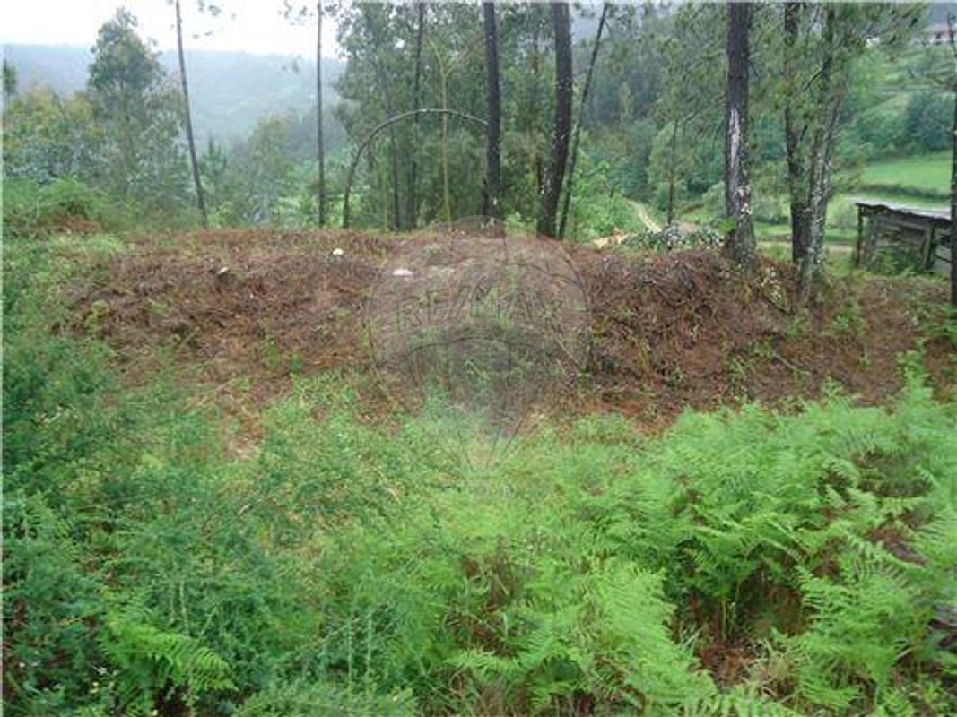 Terreno para venda