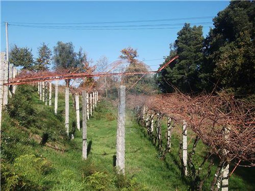 Terreno à venda em Arcos de Valdevez