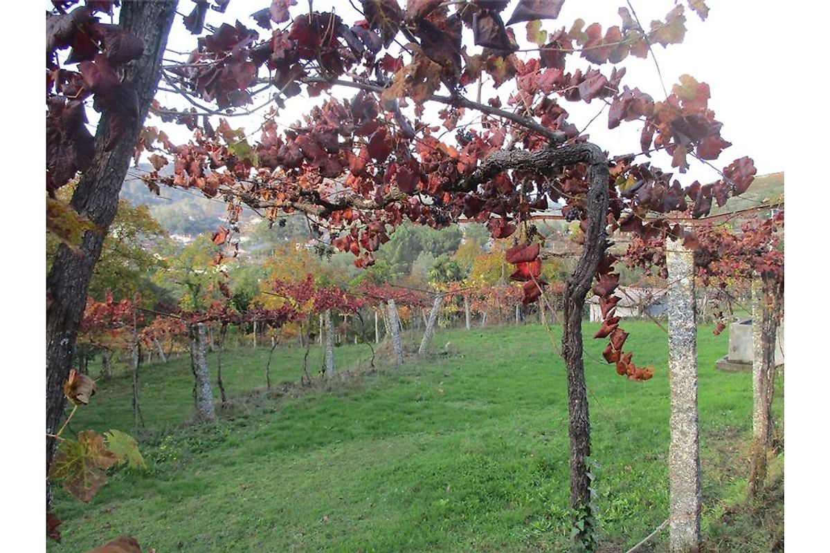 Terreno à venda em Arcos de Valdevez