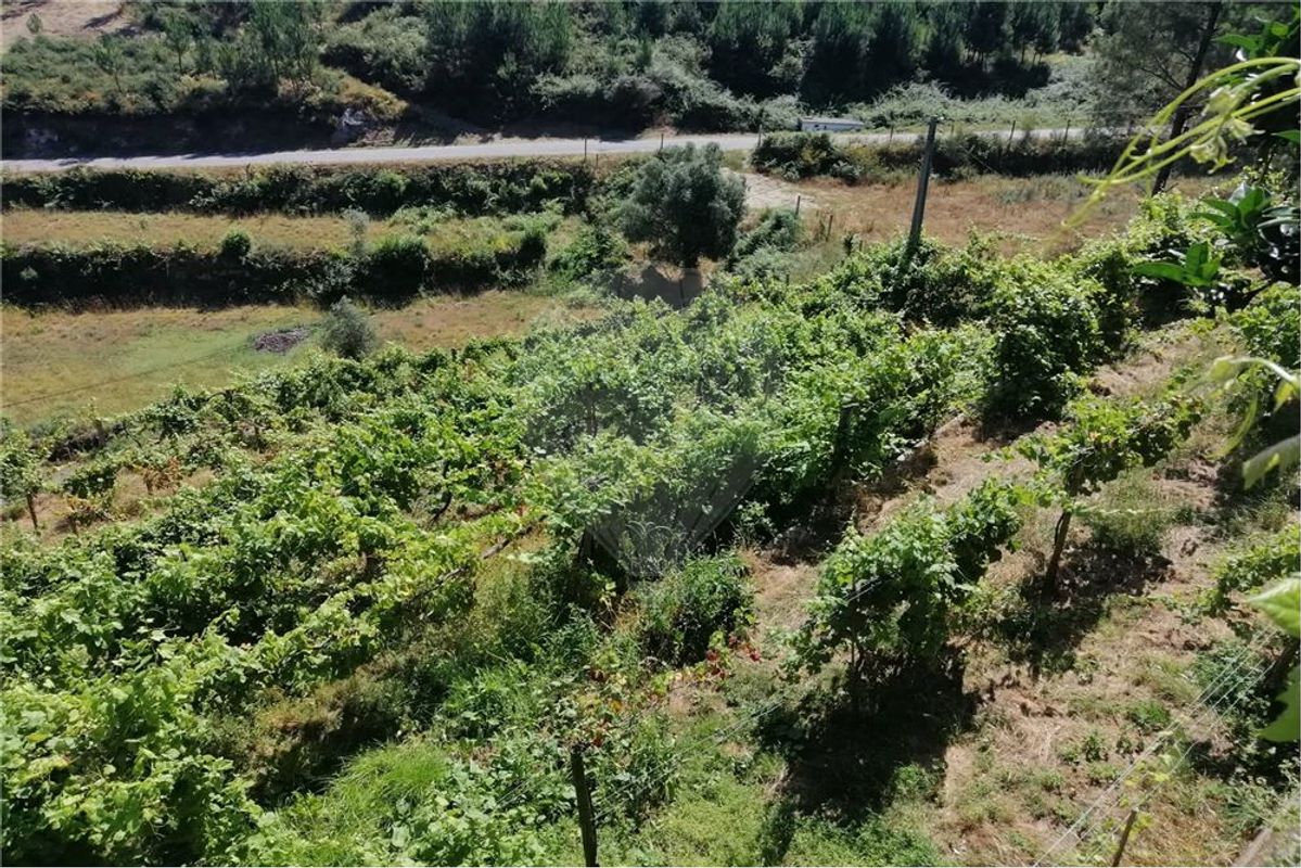 Terreno a 2 KM da Vila de Ponte da Barca