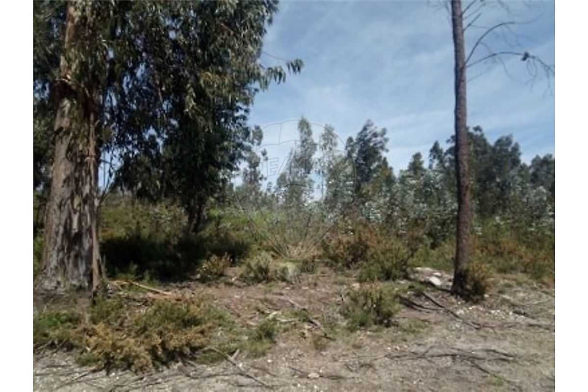Terreno à venda em Arcos de Valdevez