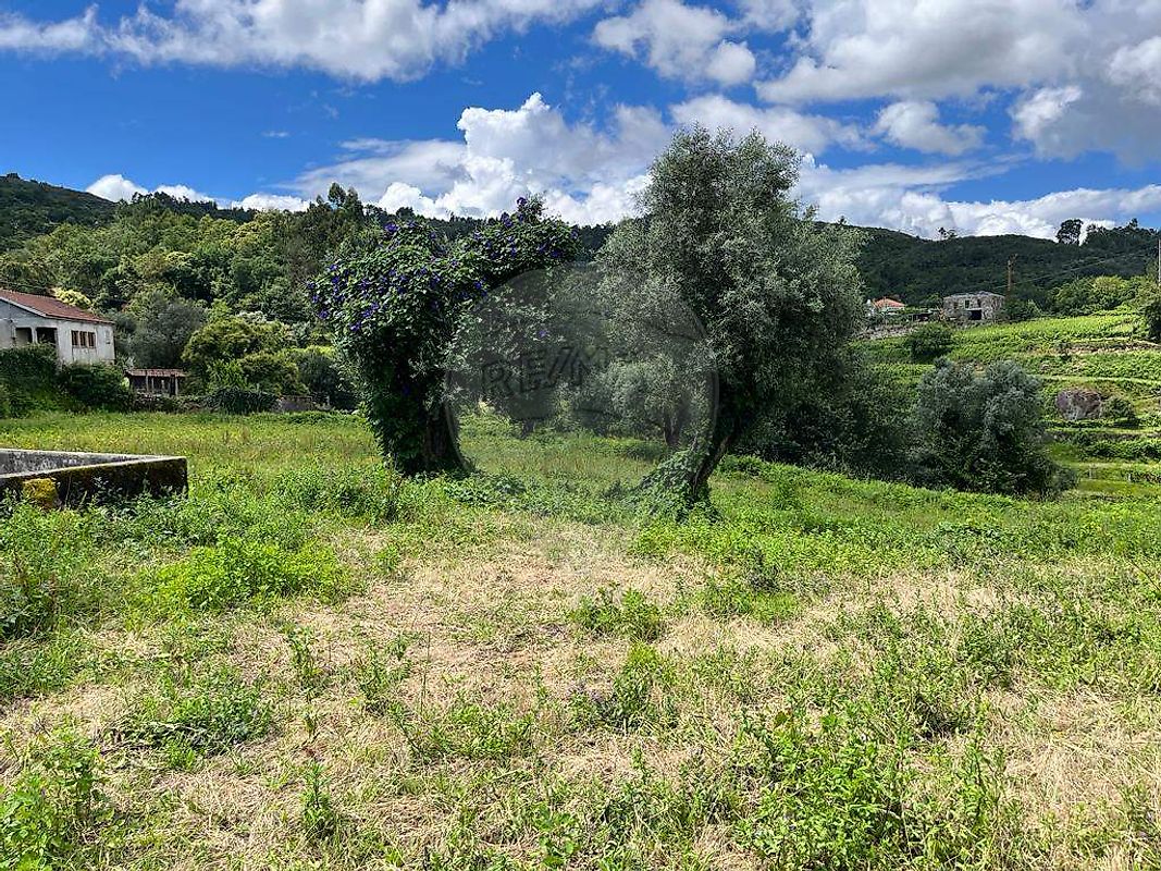 Terreno para venda