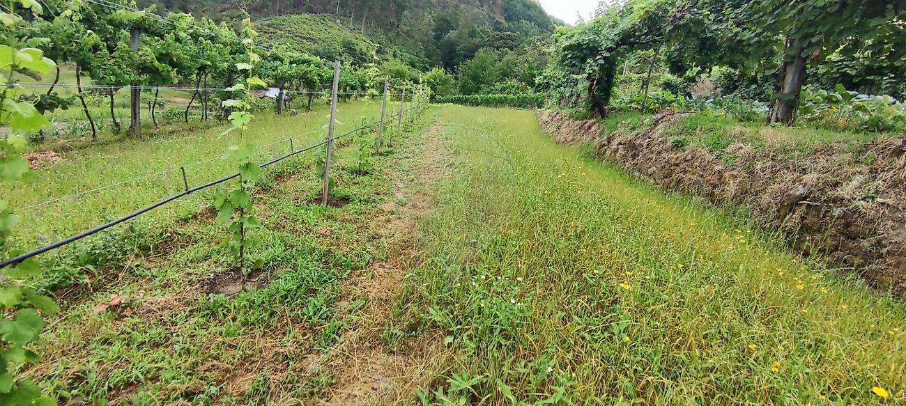 Terreno para venda