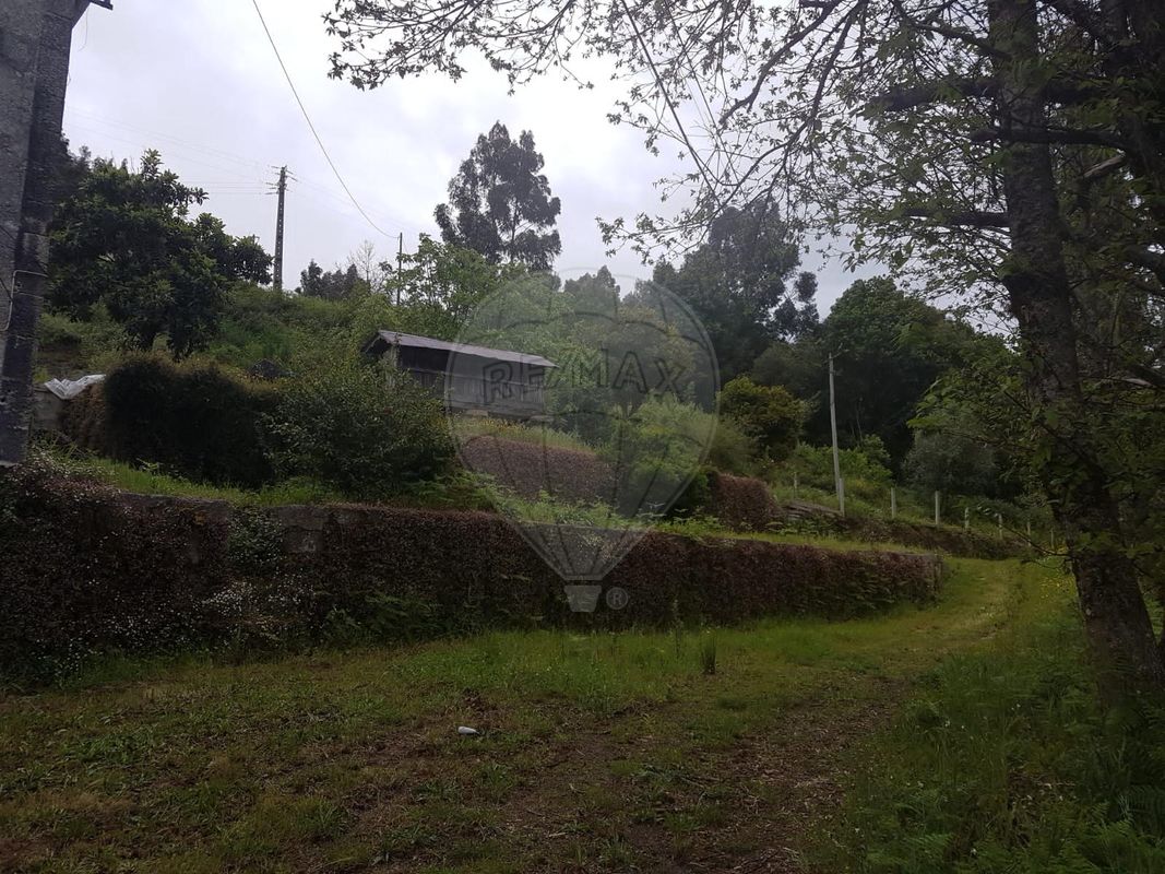 TODO