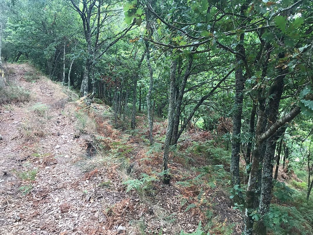 listing 126371008-5 picture-0